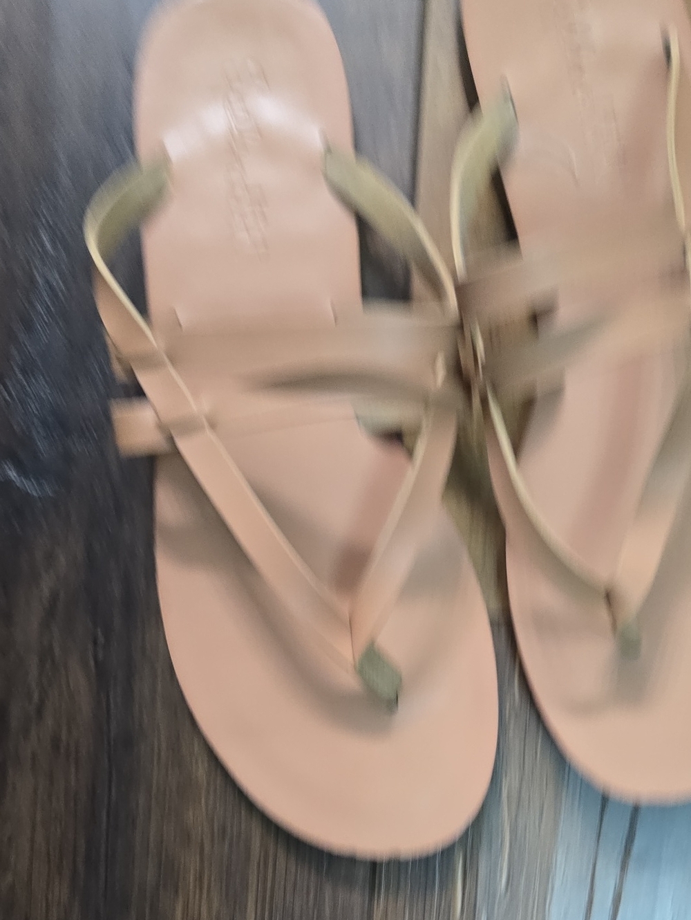 Splendid Women’s Strappy Flat Sandals in Nude - Stylish